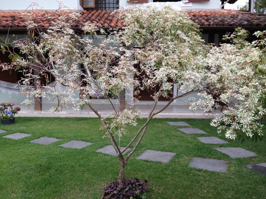 Pousada Acai 帕拉蒂 外观 照片
