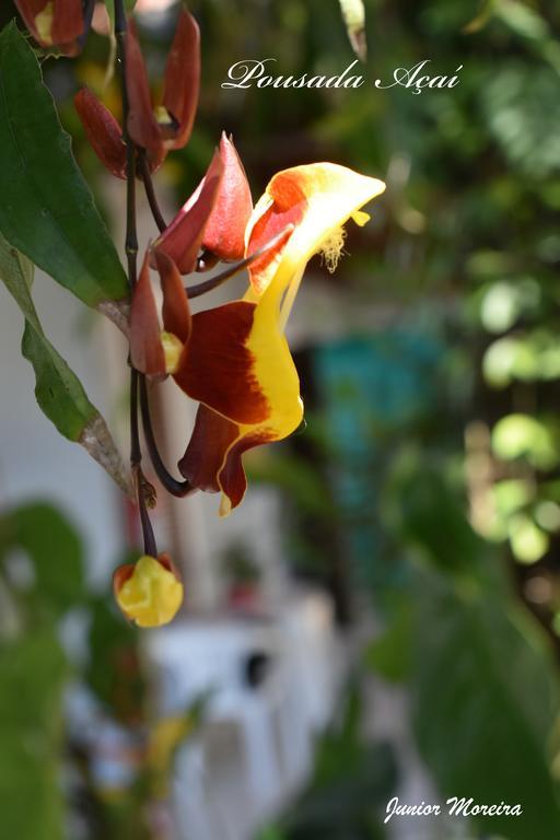 Pousada Acai 帕拉蒂 外观 照片
