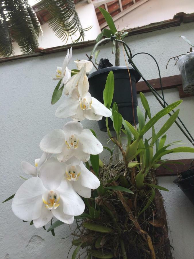 Pousada Acai 帕拉蒂 外观 照片